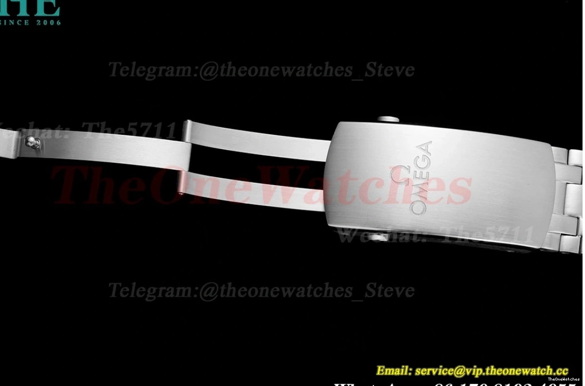 Seamaster Wht A8800 SS SS blue 300m 42mm JVSF 0112